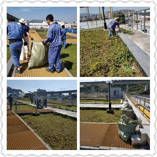 yw永旺快投网(中国区)官网登录入口