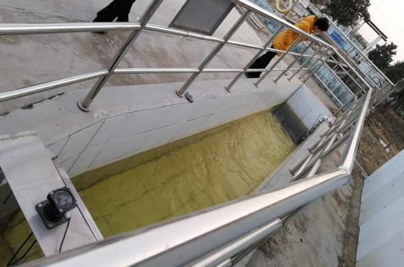 yw永旺快投网(中国区)官网登录入口