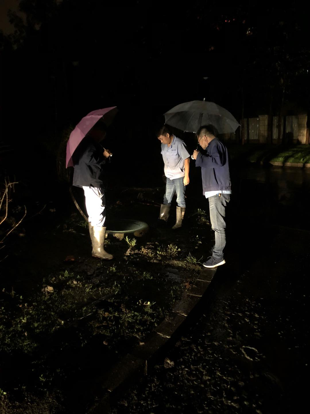 yw永旺快投网(中国区)官网登录入口