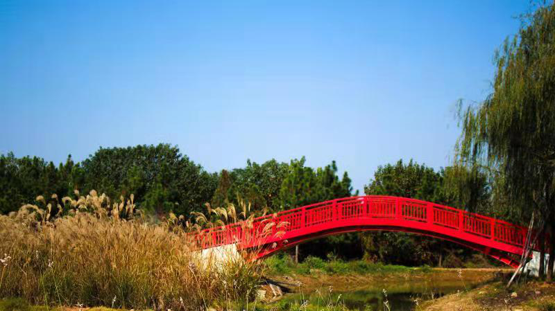 yw永旺快投网(中国区)官网登录入口