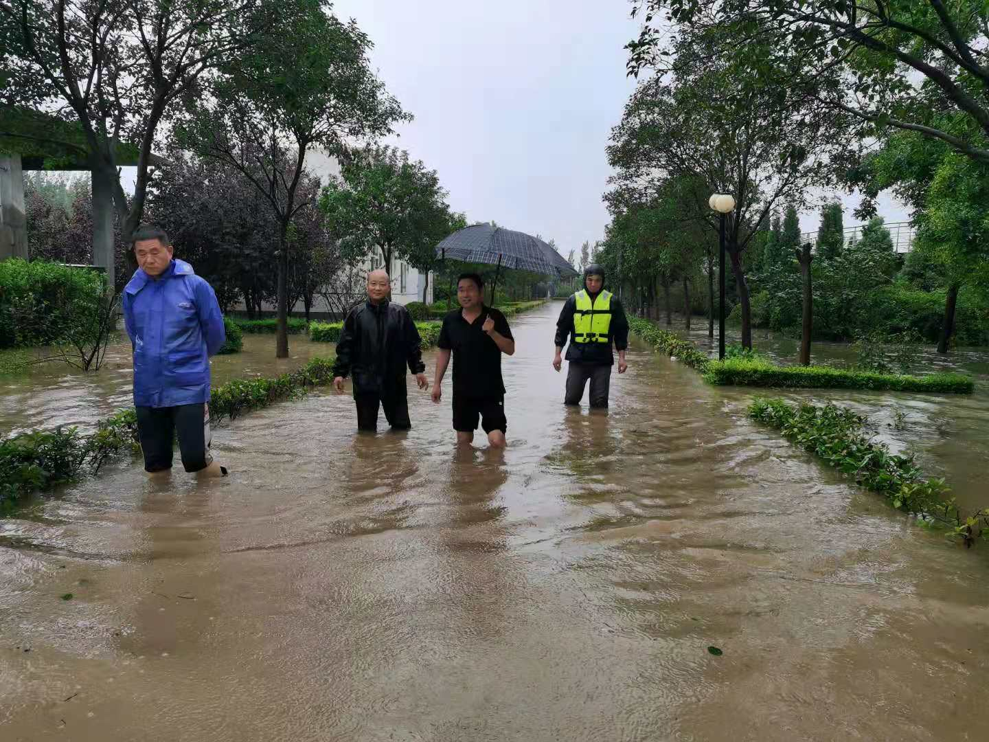 yw永旺快投网(中国区)官网登录入口