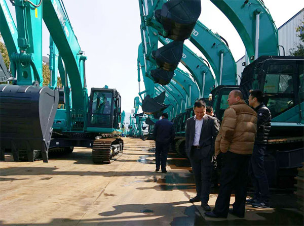 快来看，快来看，这里有一群绿精灵