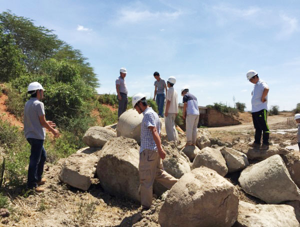 肯尼亚总统高度赞赏，乞力马扎罗山下bti体育绿闪灼