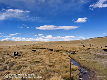 心系bti体育情，追梦阿里行！