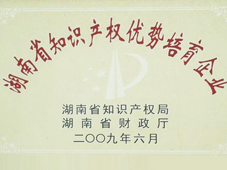 湖南省知识产权优势造就企业