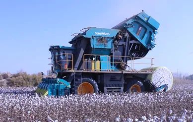 科技赋能农业强国建设！bti体育智能这幼我工智能项目入选《湖南省“数字新基建”100个标志性项目名单》